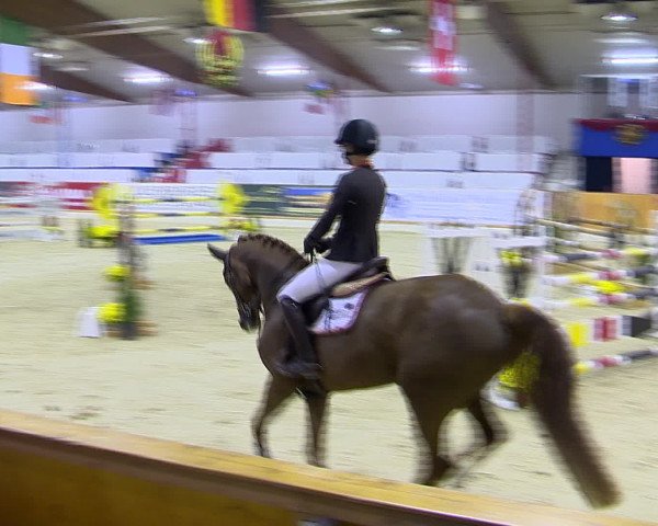 Hallenchampionat Vechta 2015