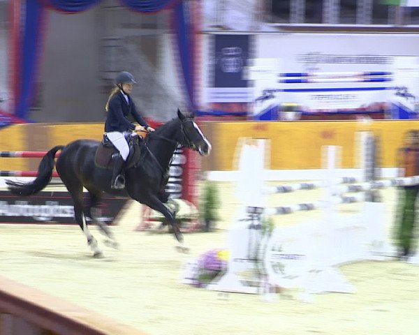 Hallenchampionat Vechta 2015