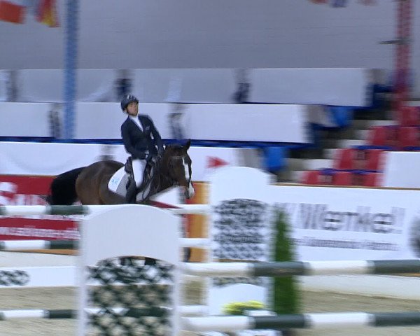 Hallenchampionat Vechta 2015