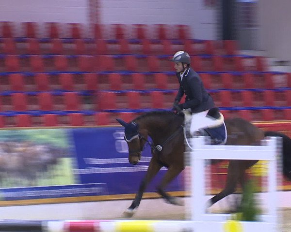 Hallenchampionat Vechta 2015