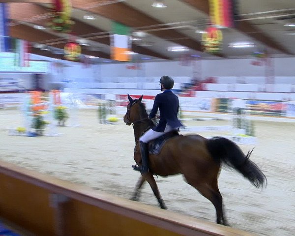 Hallenchampionat Vechta 2015