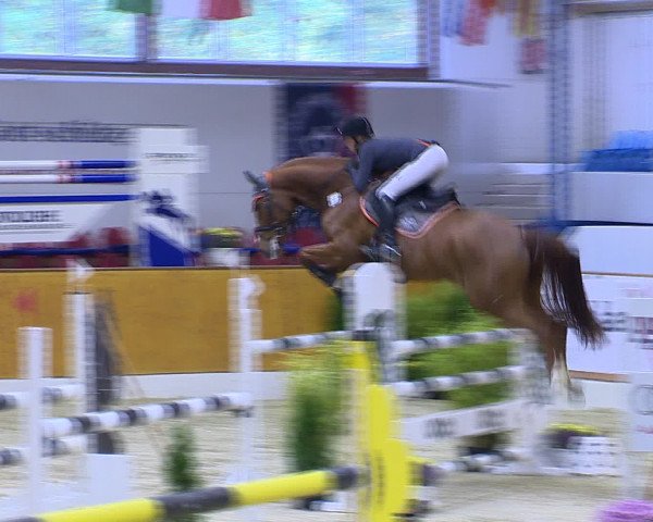 Hallenchampionat Vechta 2015