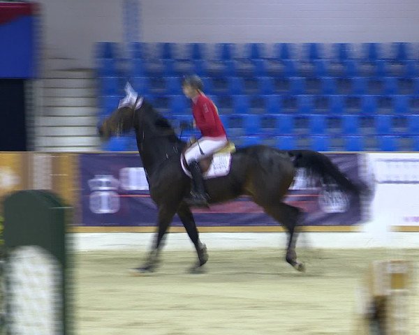 Hallenchampionat Vechta 2015