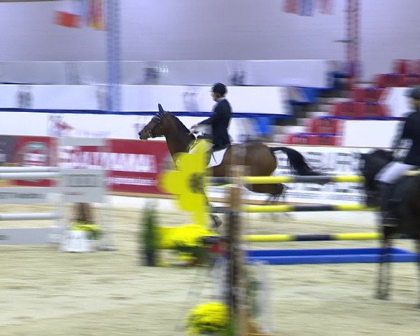 Hallenchampionat Vechta 2015