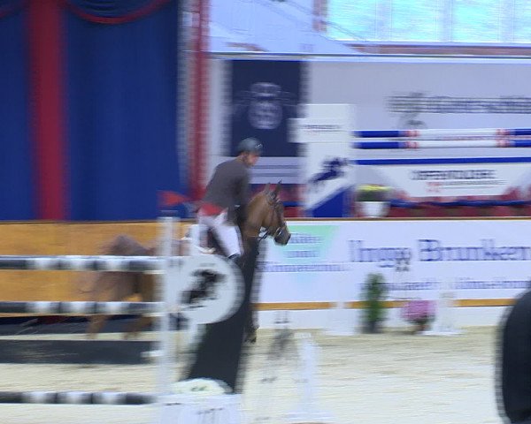 Hallenchampionat Vechta 2015