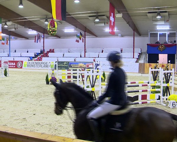 Hallenchampionat Vechta 2015