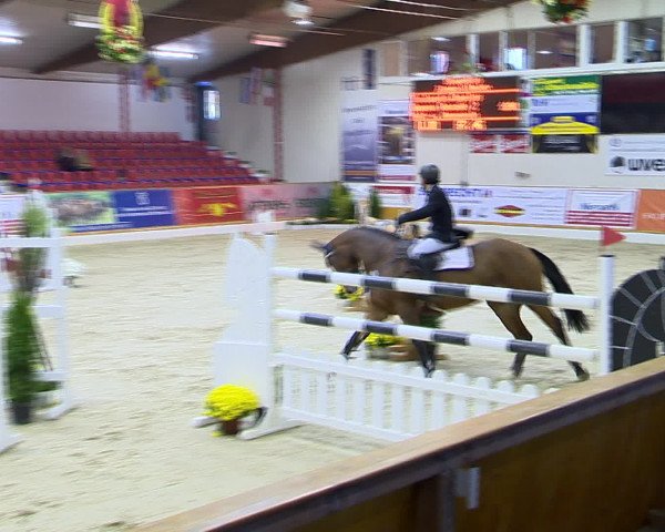 Hallenchampionat Vechta 2015