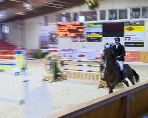 Hallenchampionat Vechta 2015