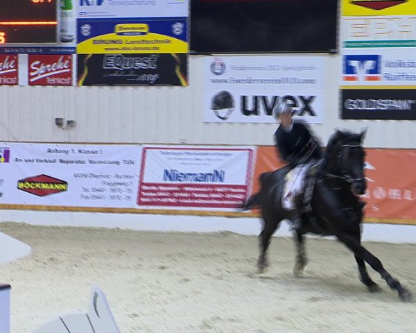 Hallenchampionat Vechta 2015