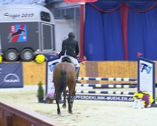 Hallenchampionat Vechta 2015