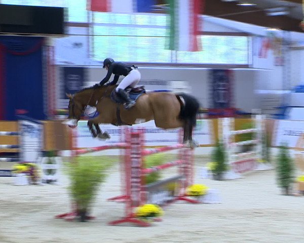 Hallenchampionat Vechta 2015
