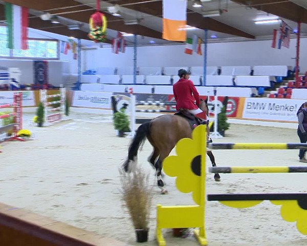 Hallenchampionat Vechta 2015