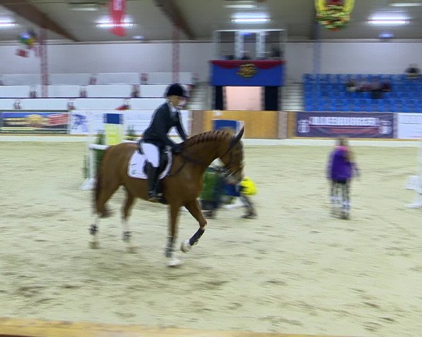 Hallenchampionat Vechta 2015