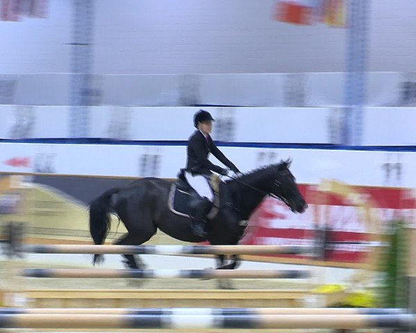 Hallenchampionat Vechta 2015