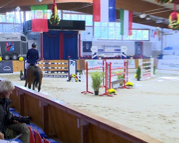 Hallenchampionat Vechta 2015