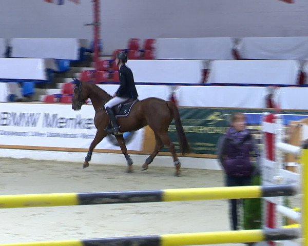 Hallenchampionat Vechta 2015