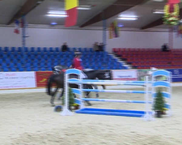 Hallenchampionat Vechta 2015