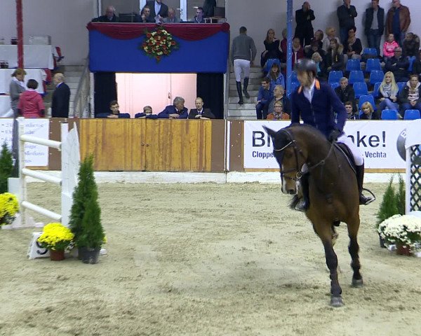 Hallenchampionat Vechta 2015
