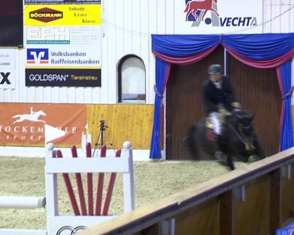 Hallenchampionat Vechta 2015