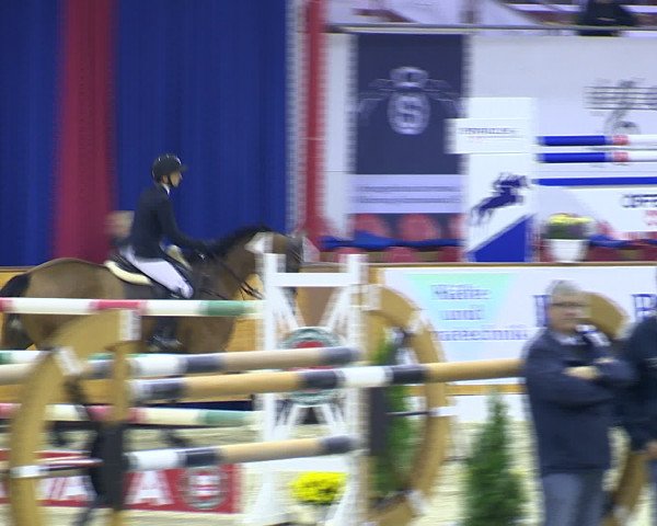 Hallenchampionat Vechta 2015