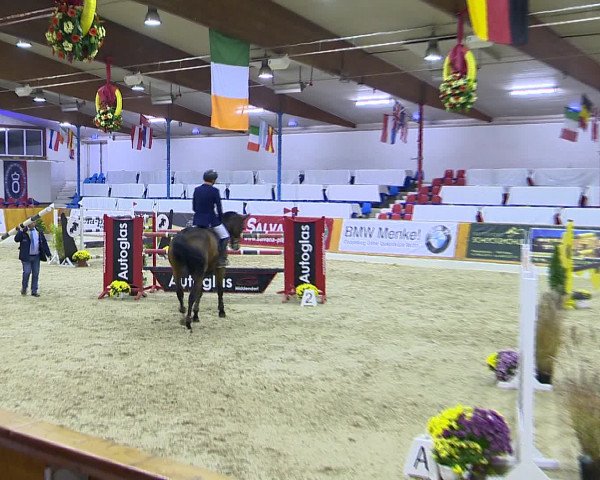 Hallenchampionat Vechta 2015