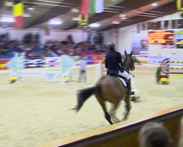 Hallenchampionat Vechta 2015