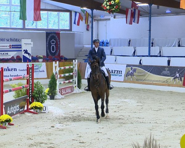 Hallenchampionat Vechta 2015