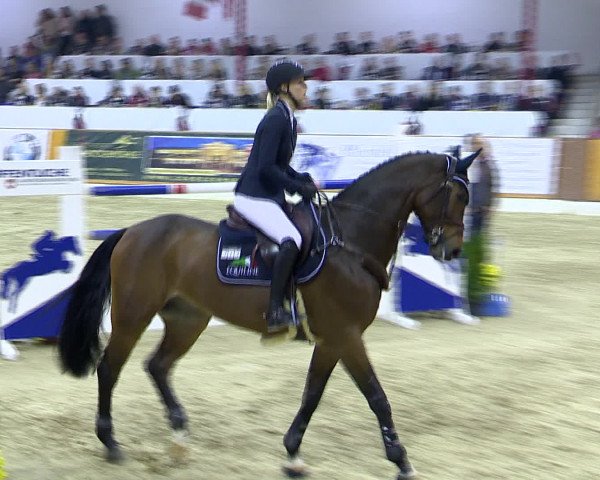 Hallenchampionat Vechta 2015