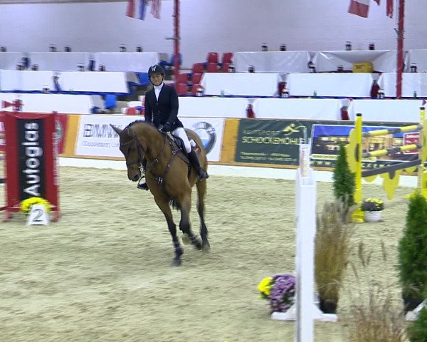 Hallenchampionat Vechta 2015