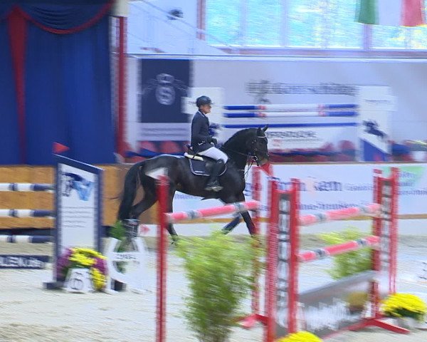 Hallenchampionat Vechta 2015