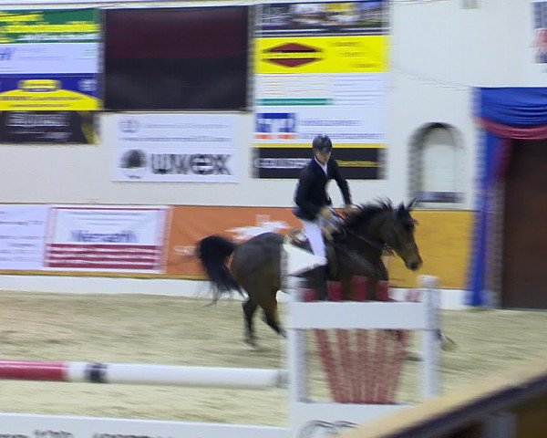 Hallenchampionat Vechta 2015