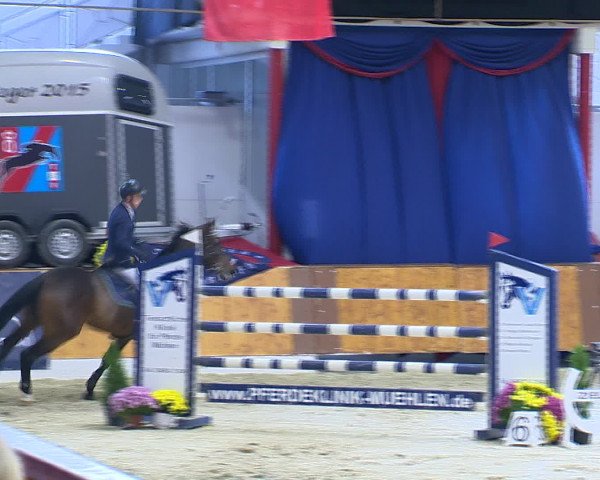 Hallenchampionat Vechta 2015