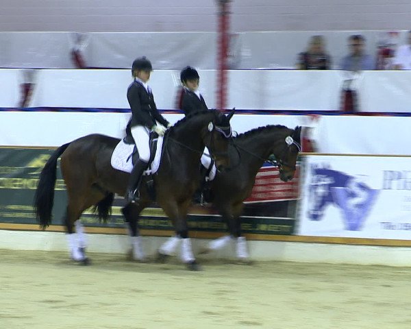 Hallenchampionat Vechta 2015