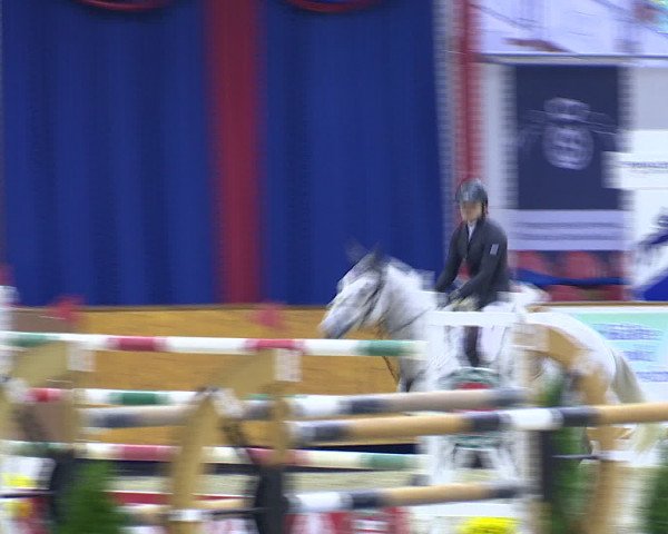 Hallenchampionat Vechta 2015
