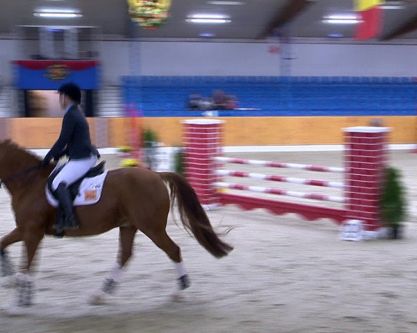 Hallenchampionat Vechta 2015