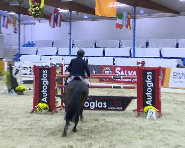 Hallenchampionat Vechta 2015