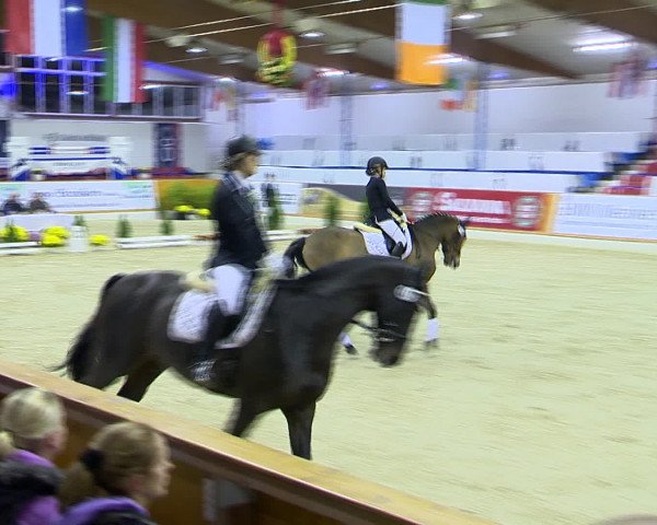 Hallenchampionat Vechta 2015