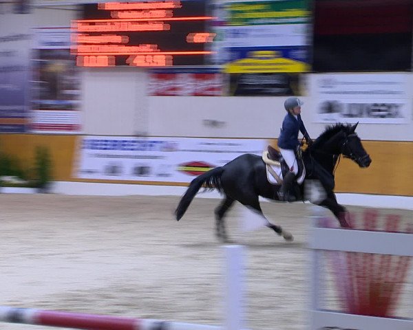 Hallenchampionat Vechta 2015