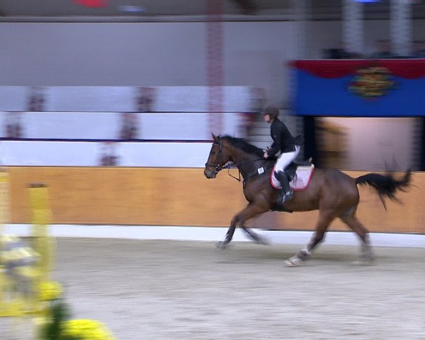 Hallenchampionat Vechta 2015