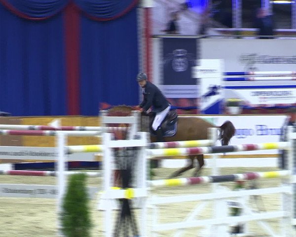 Hallenchampionat Vechta 2015