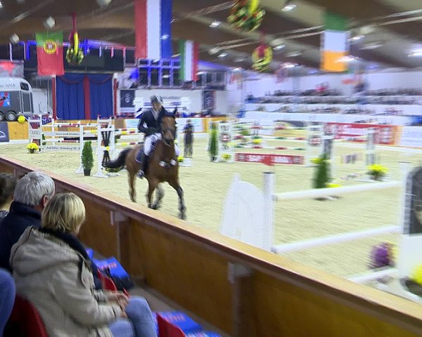 Hallenchampionat Vechta 2015