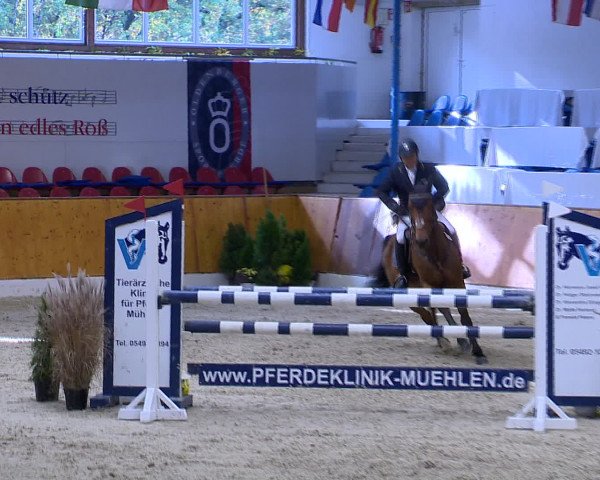 Hallenchampionat Vechta 2015