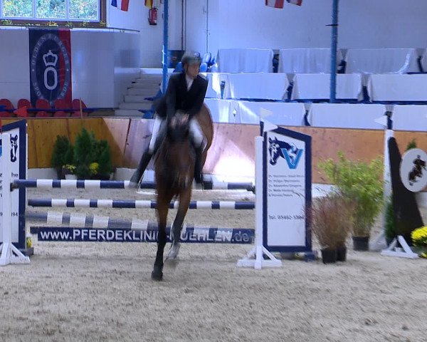 Hallenchampionat Vechta 2015