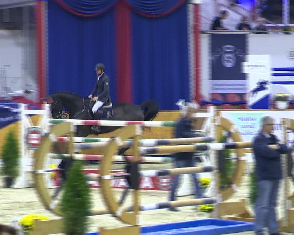 Hallenchampionat Vechta 2015