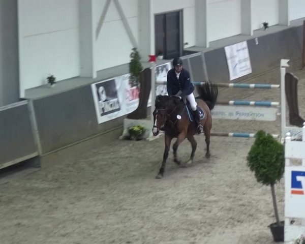 Reitturnier Mönchengladbach-Abtshof 2015