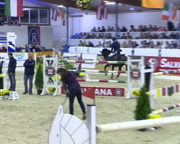 Hallenchampionat Vechta 2015