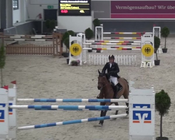 Reitturnier Mönchengladbach-Abtshof 2015