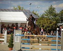 jumper First of April (Oldenburg show jumper, 2002, from Forrester)