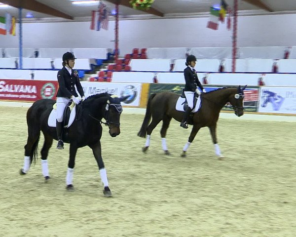 Hallenchampionat Vechta 2015