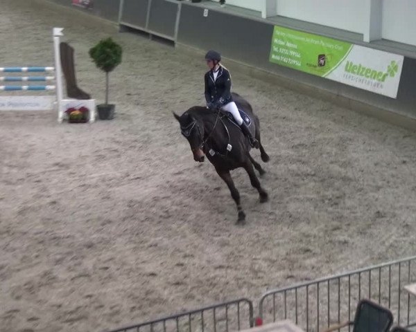 Reitturnier Mönchengladbach-Abtshof 2015